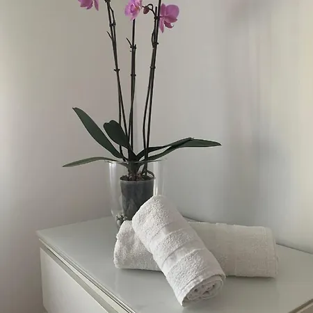 Apartmán Rua Dos Concheiros, 7