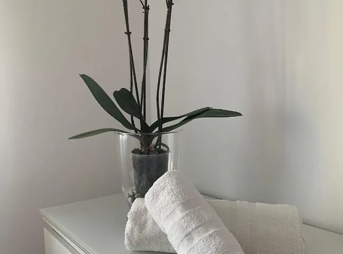 Апартаменты Rua Dos Concheiros, 7