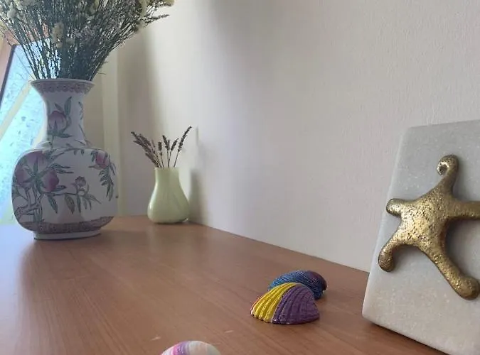 Rua Dos Concheiros, 7 圣地亚哥－德孔波斯特拉